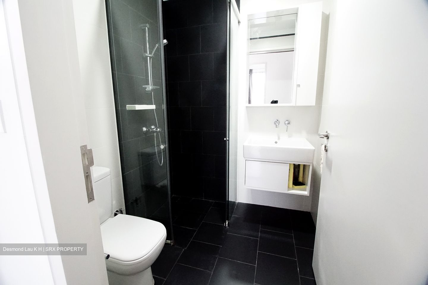 Village @ Pasir Panjang (D5), Condominium #433548971